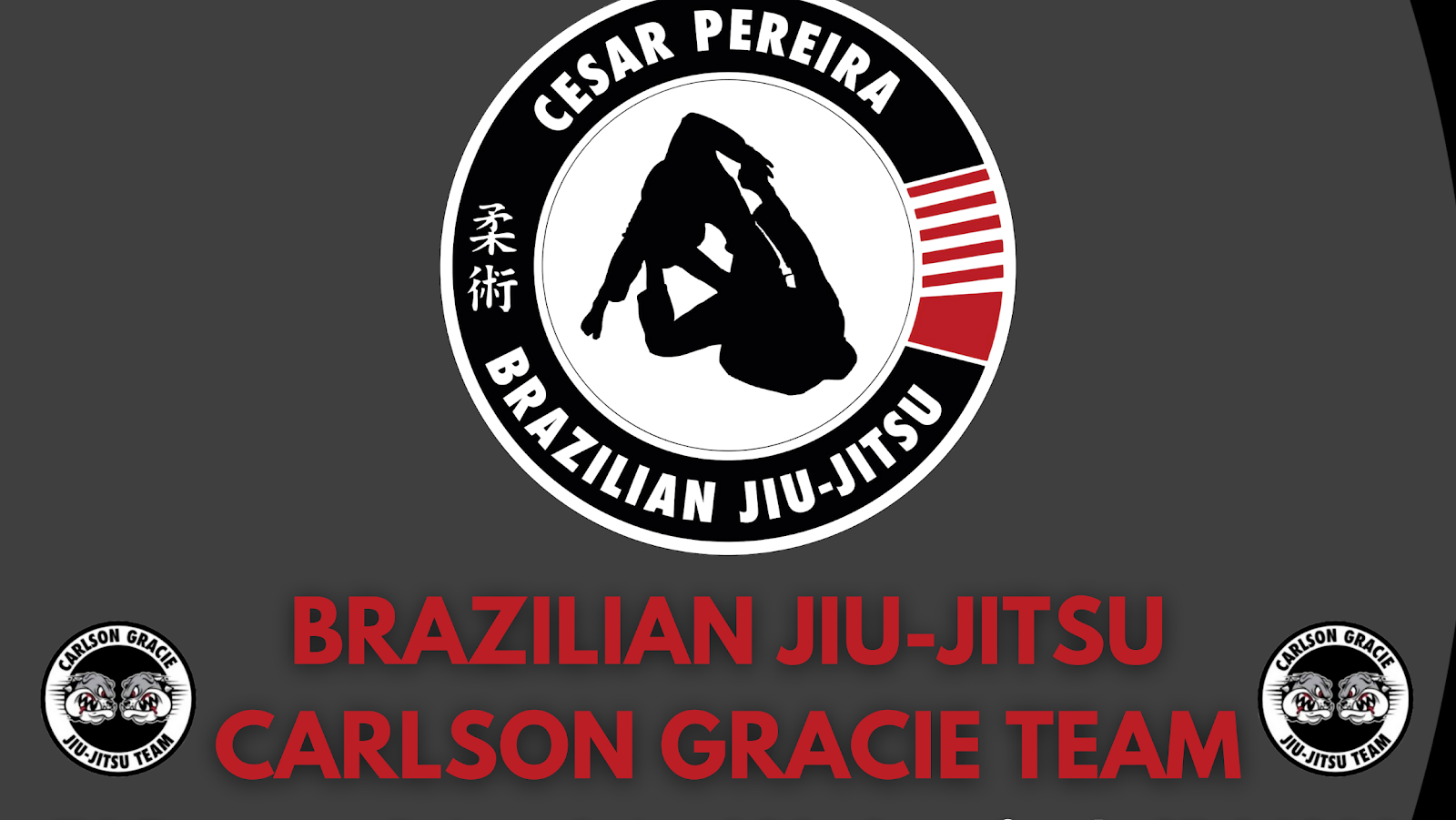 Image 10 of Carlson Gracie Team Stamford