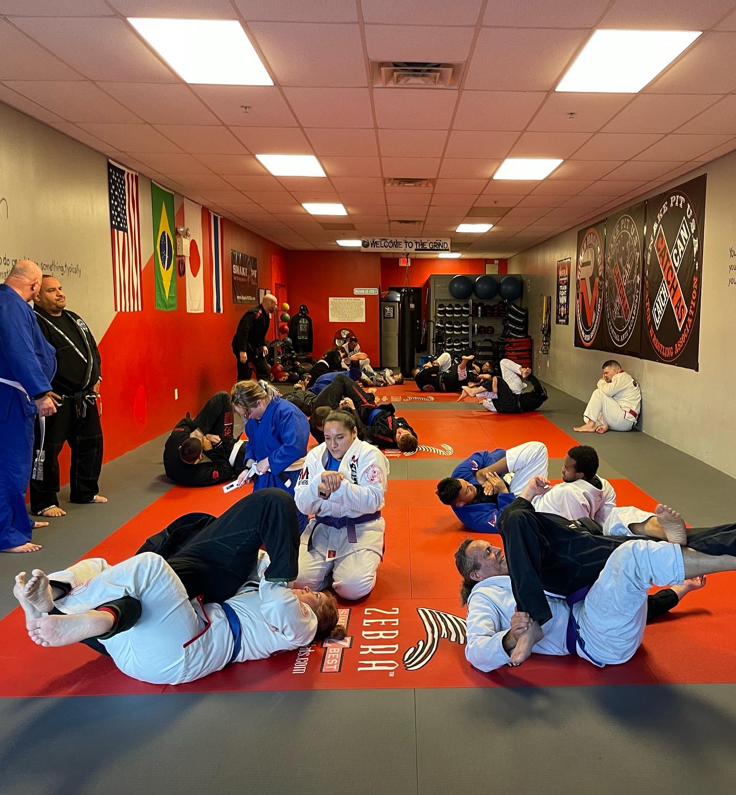 Snake Pit U.S.A. Mixed Martial Arts Academy/Machado Jiu-Jitsu photo