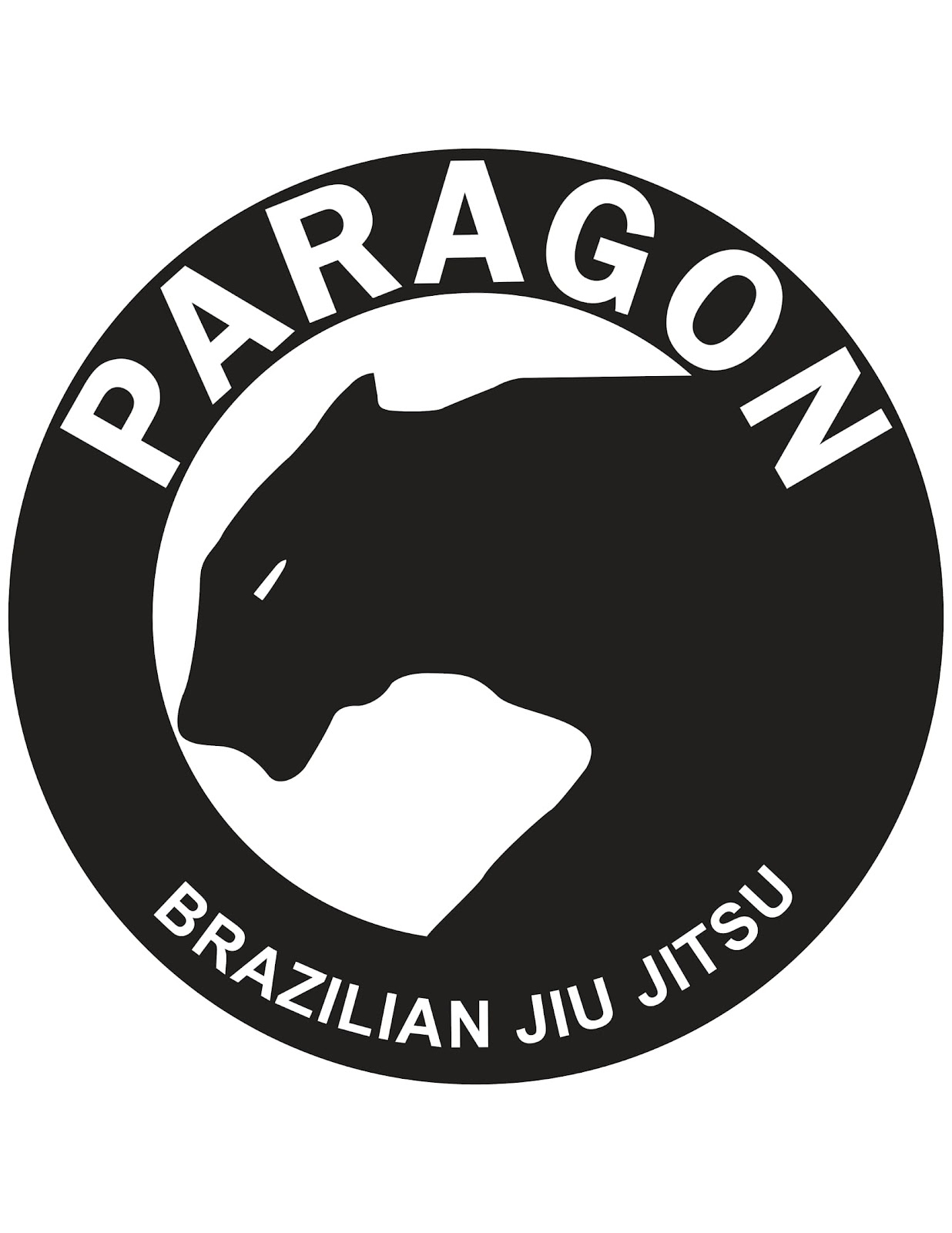 Paragon Brazilian Jiu Jitsu Kimberling City photo