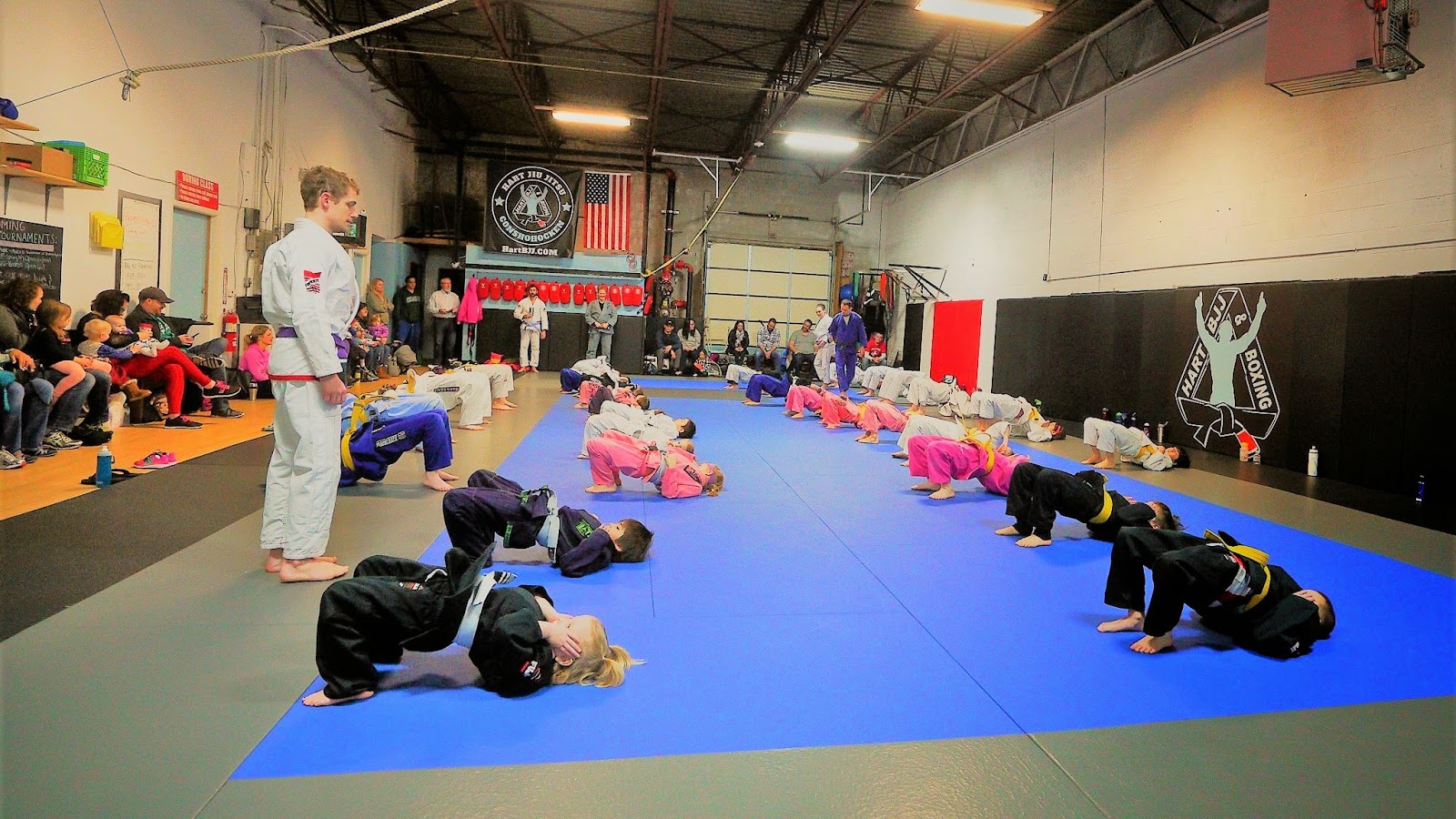 Hart Jiu Jitsu, Kickboxing and Mixed Martial Arts Academy photo