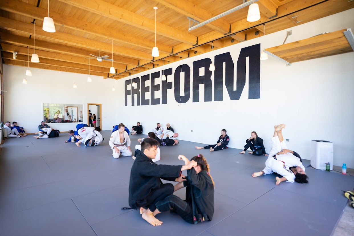 Main image of Free Form Jiu Jitsu