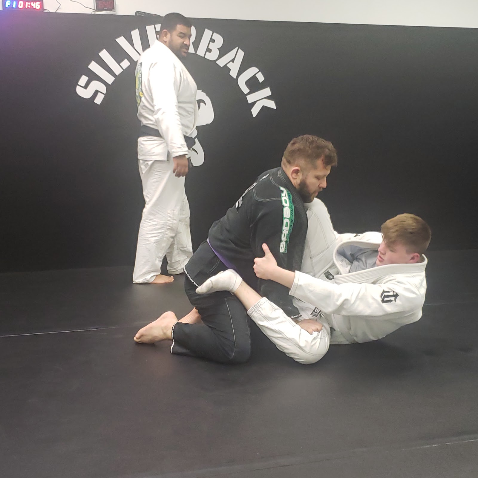 Image 4 of Silverback Brazilian Jiu Jitsu