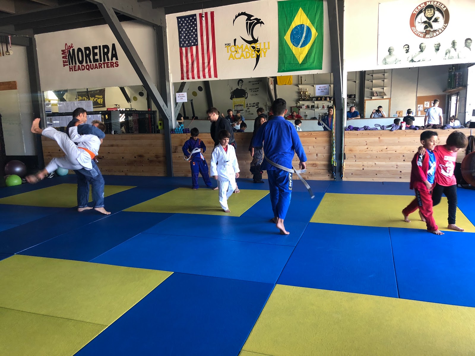 Image 7 of Tomacelli Academy: Brazilian Jiu-Jitsu & Mixed Martial Arts