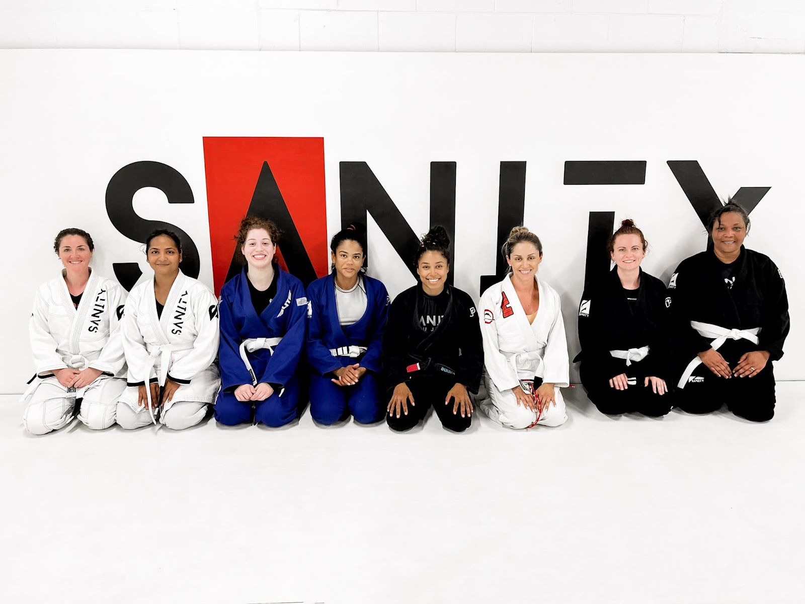 Image 2 of SANITY JIU JITSU WINTER GARDEN