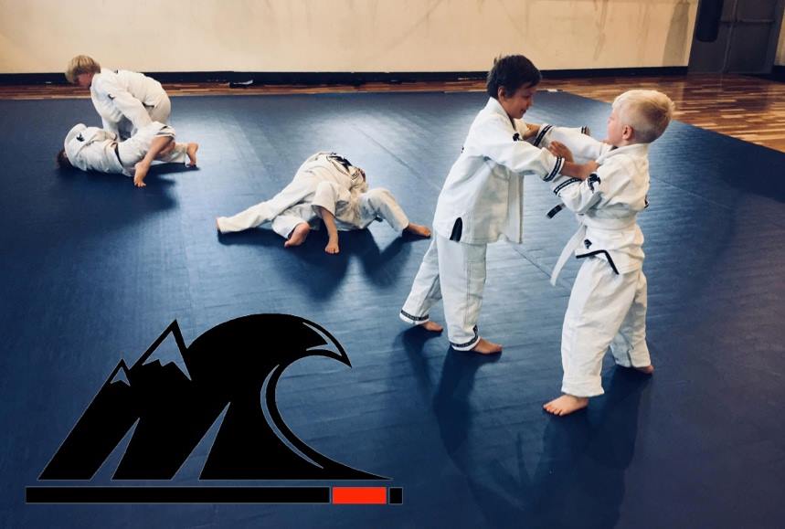 Image 3 of BJJ Revolution Park City