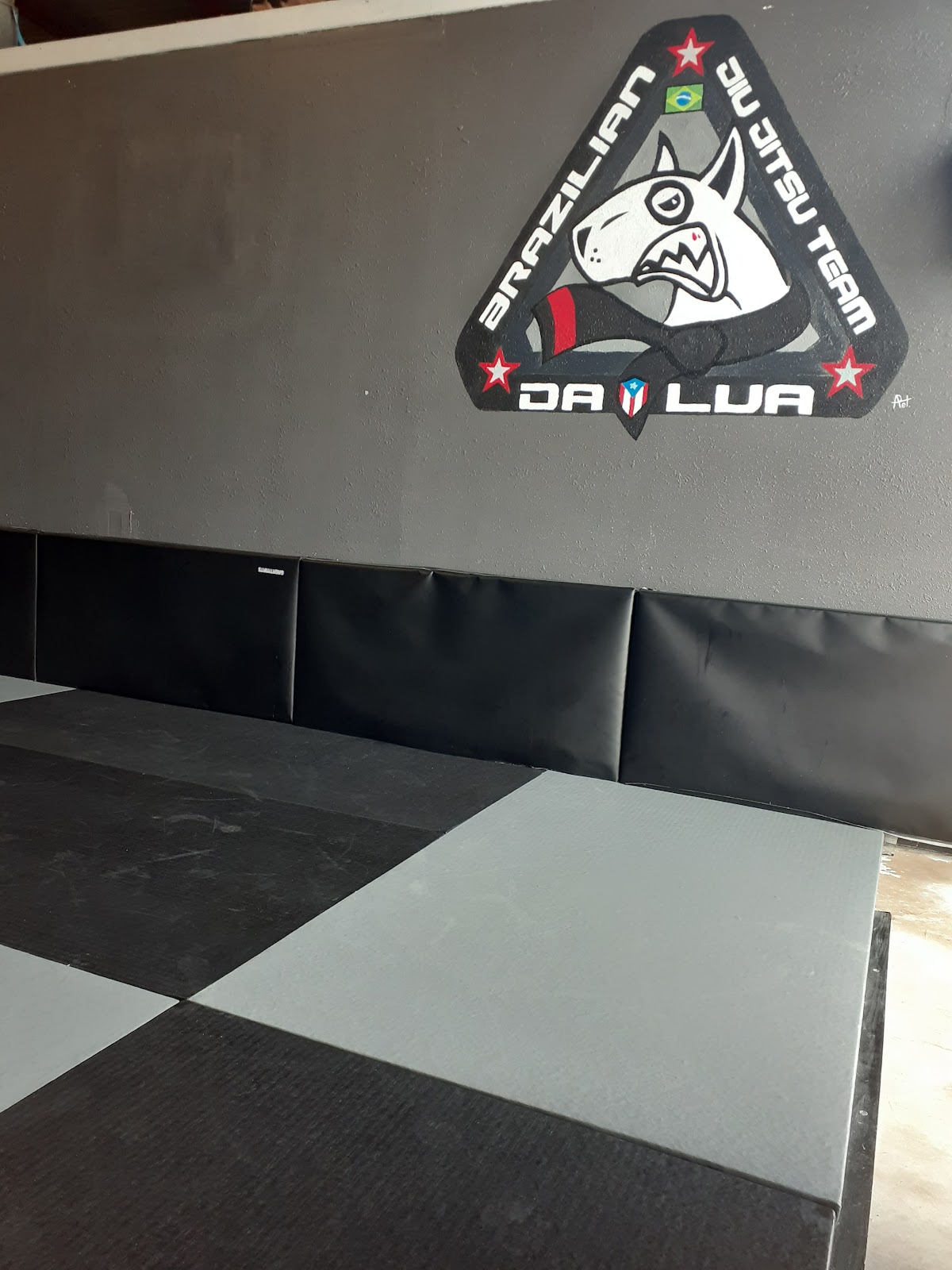 Image 3 of Dalua Brazilian Jiu Jitsu