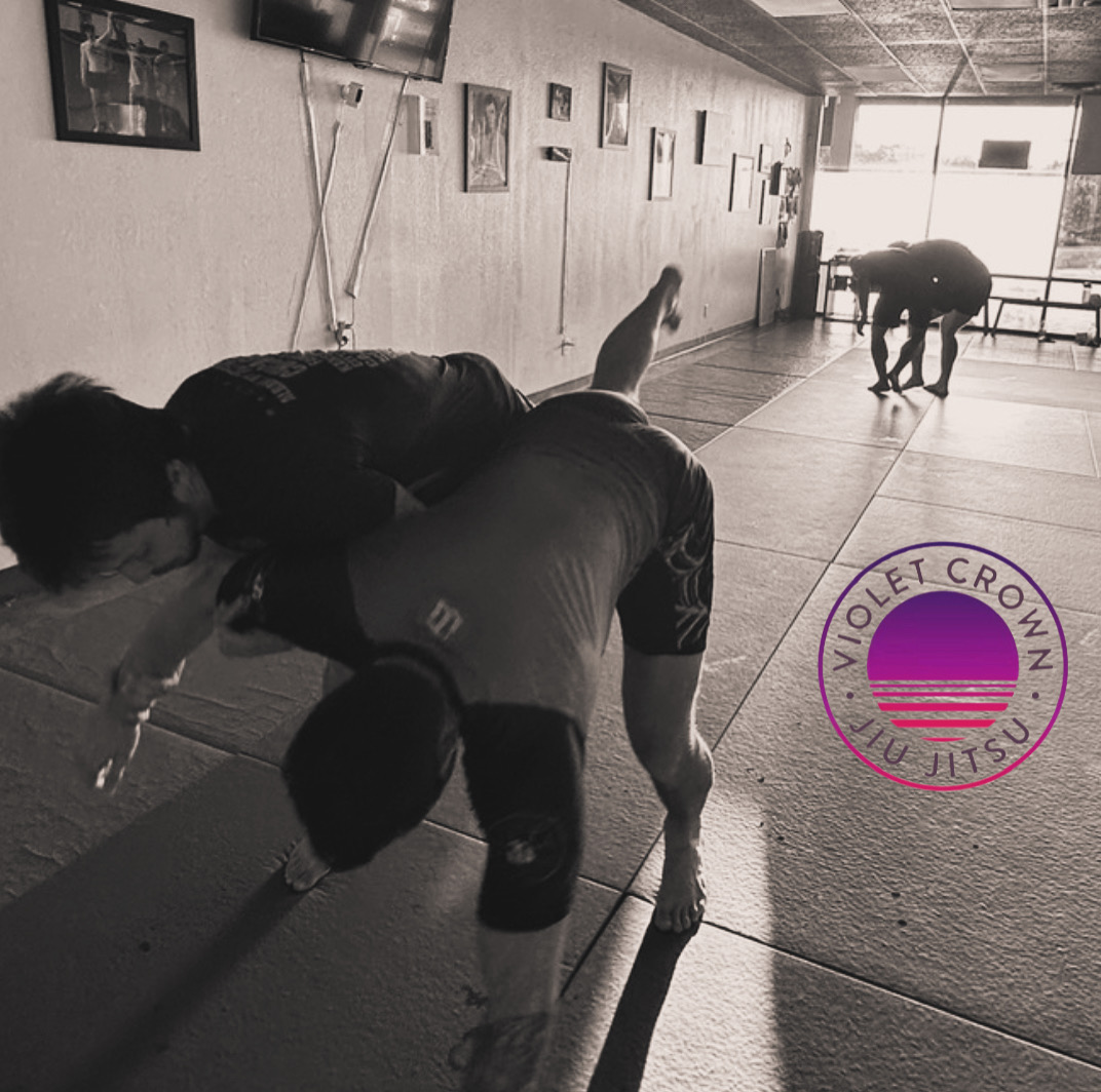 Image 6 of Violet Crown Jiu Jitsu