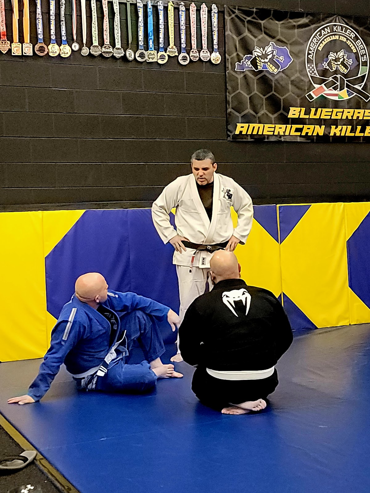 Image 8 of Bluegrass American Killer Bee's BJJ