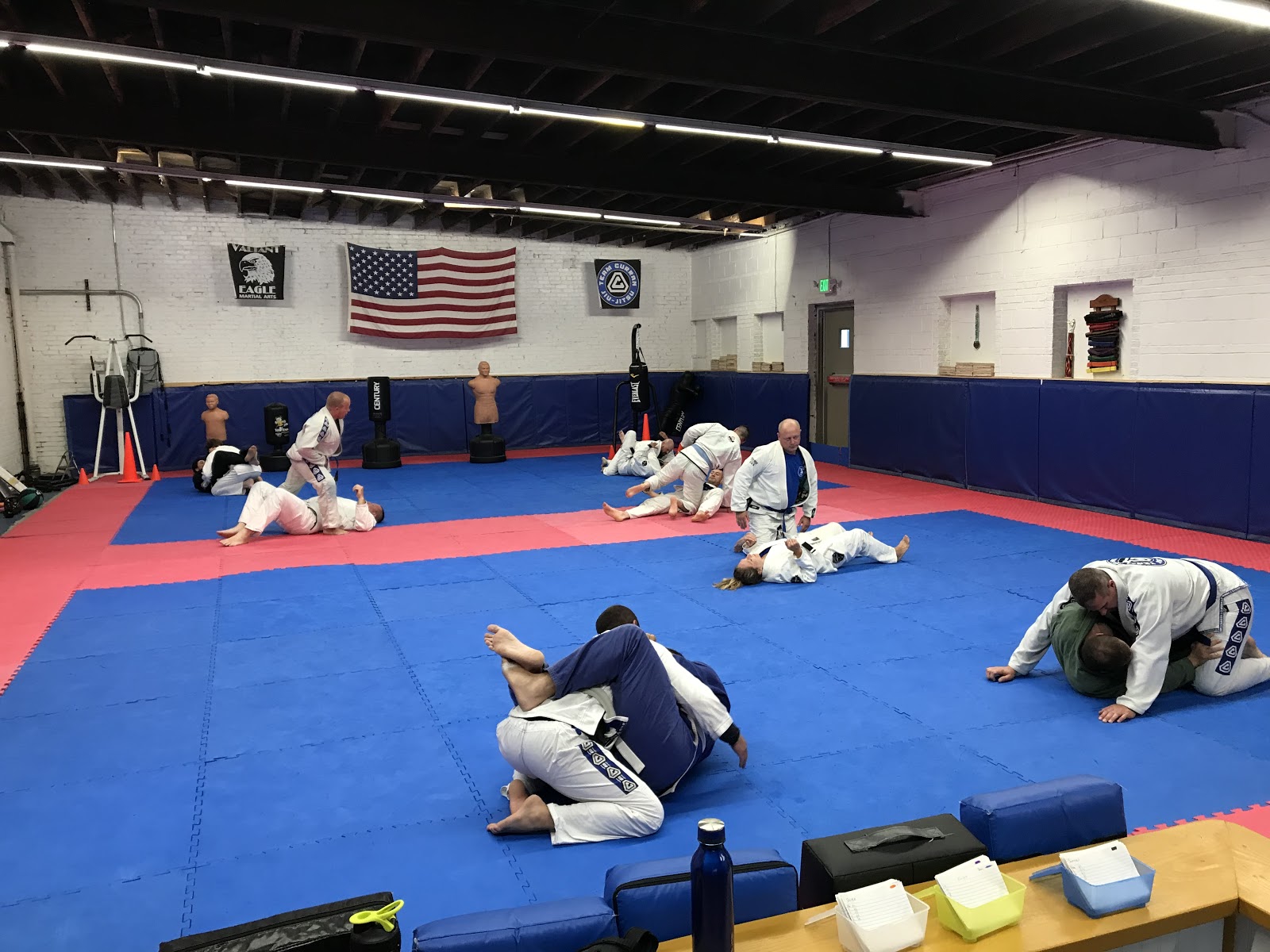 Dekalb County Brazilian Jiu Jitsu photo