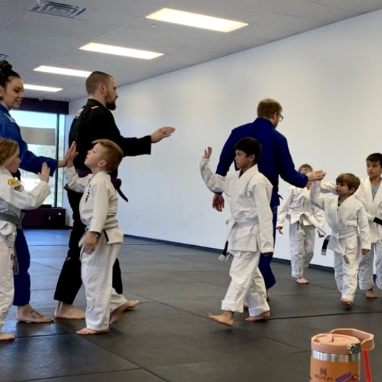 Image 9 of Full Metal BJJ