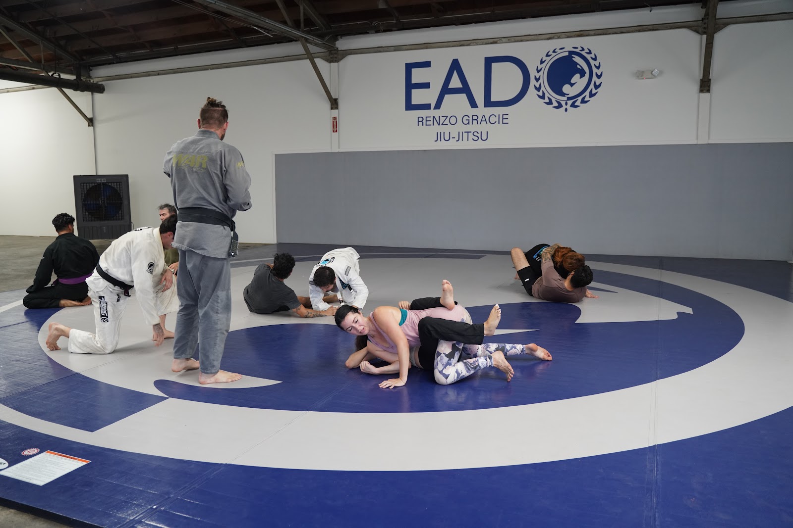 Image 3 of Renzo Gracie EaDo