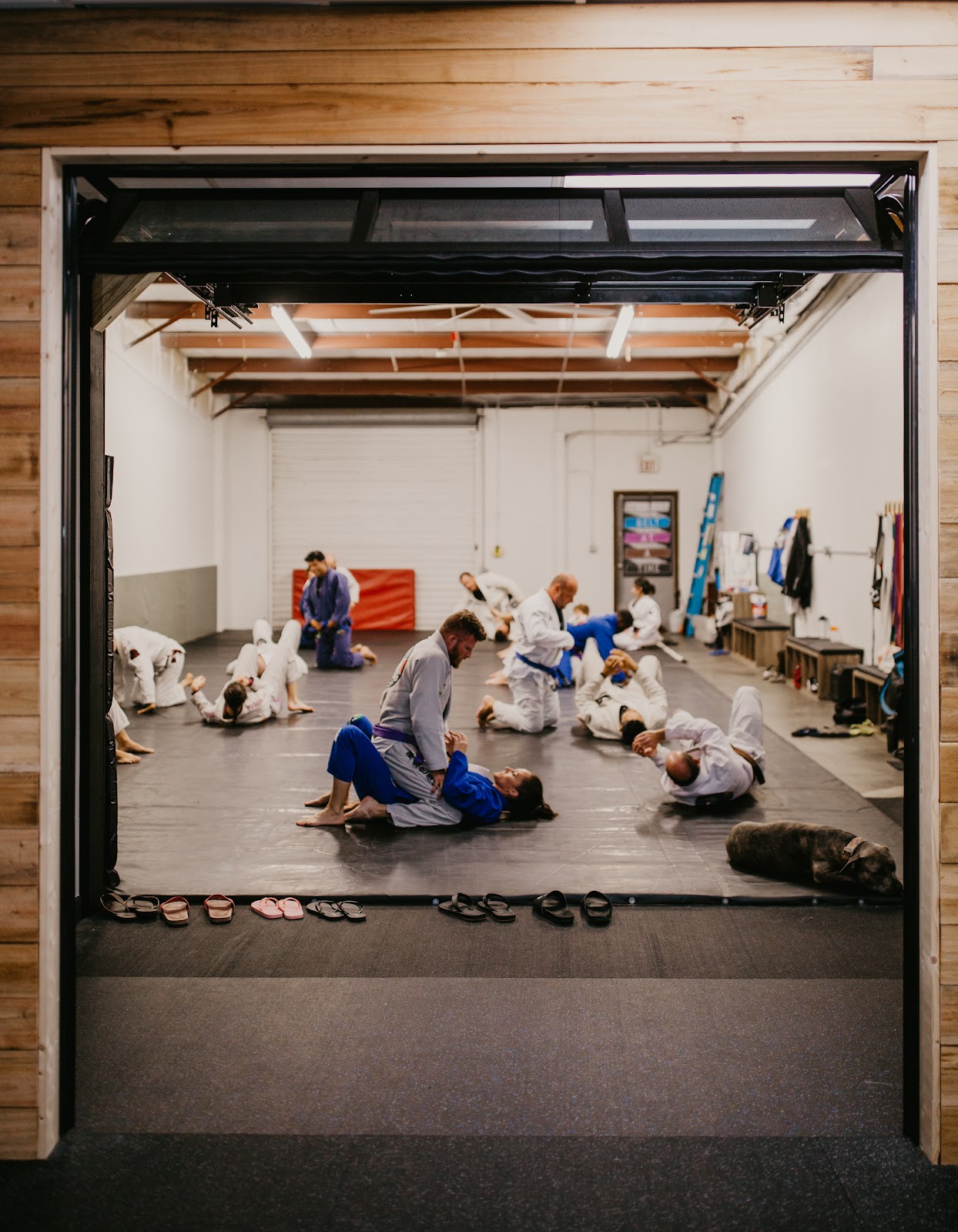 Image 4 of TeamAlves Brazilian Jiu-Jitsu school