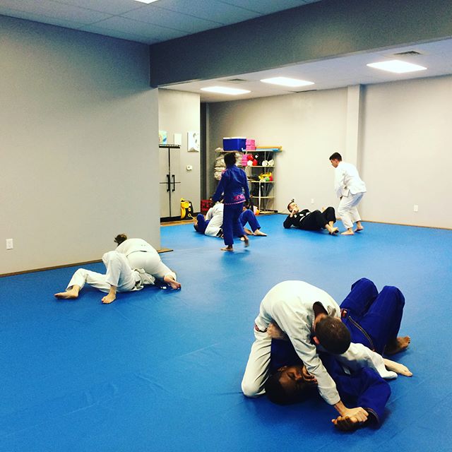 Image 2 of Gracie Jiu Jitsu Pace