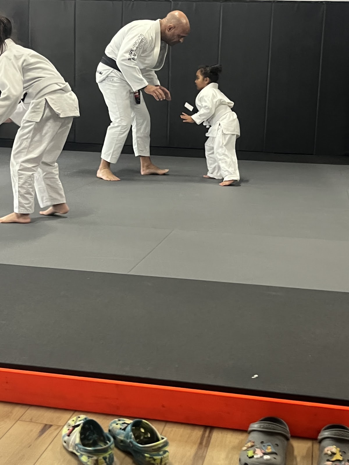 Image 10 of Dino Jiu Jitsu