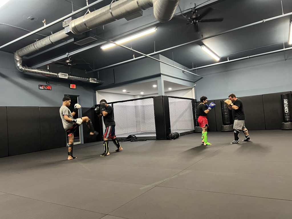 MANIFEST MMA GYM (Jiu Jitsu, Muay Thai) photo