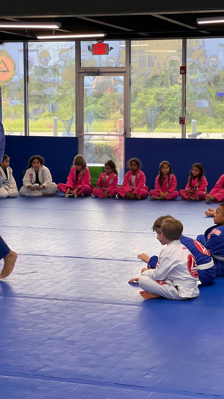 Image 5 of Gracie Barra Windermere