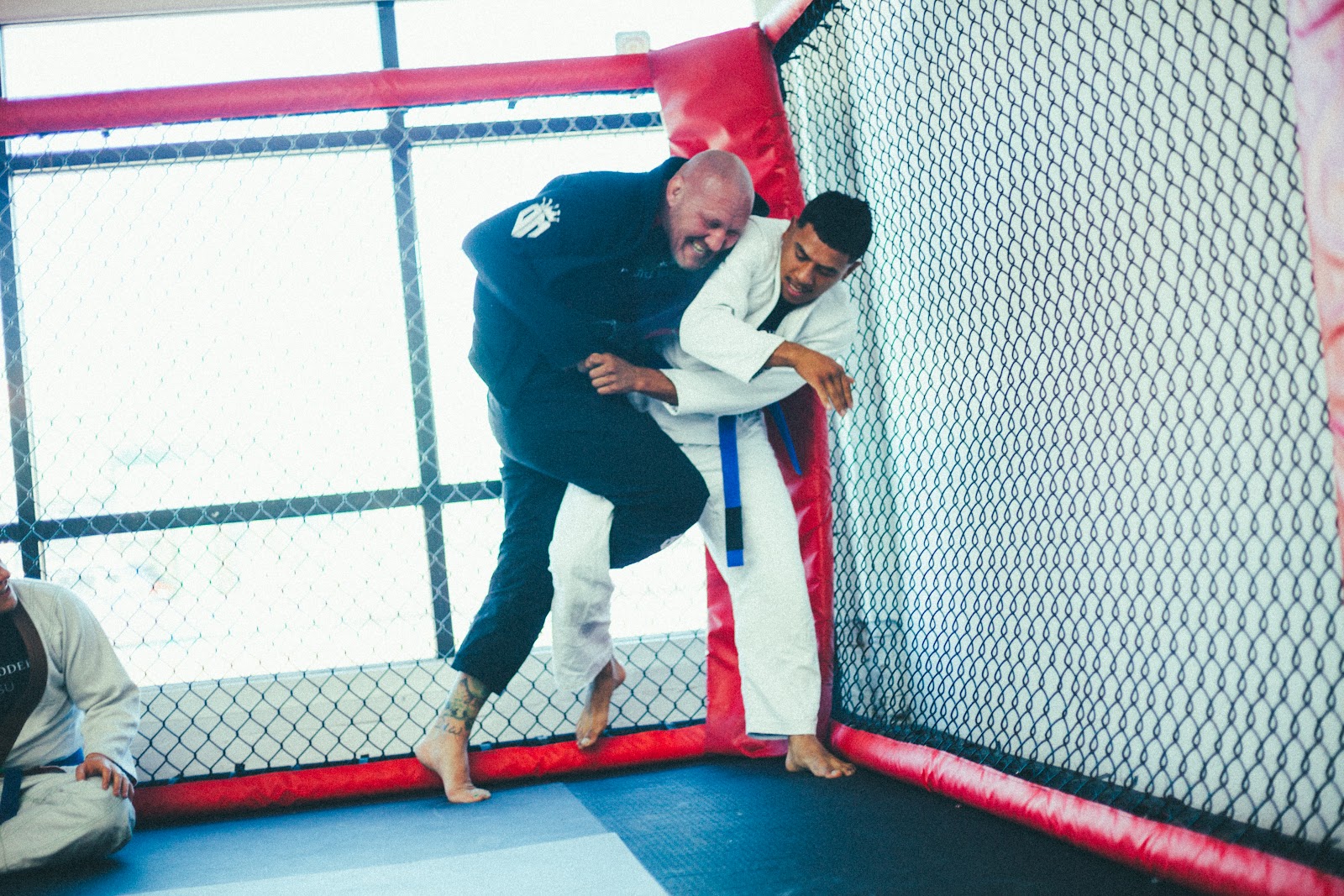 Image 7 of Denver Modern Jiu Jitsu