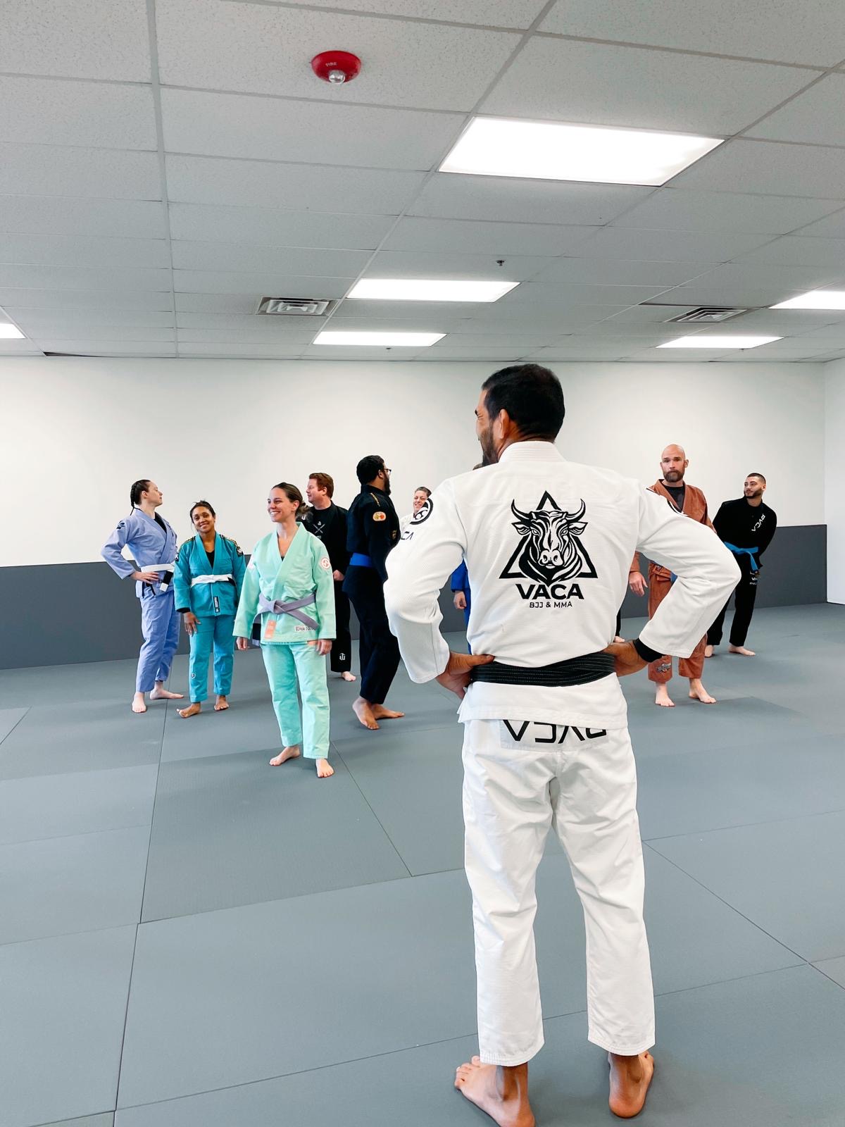 Image 2 of Vaca BJJ & MMA