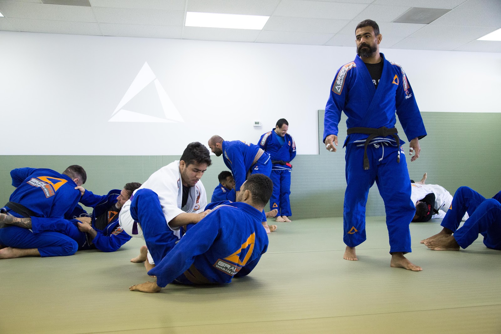 Gracie Gym Brazilian Jiu-Jitsu photo