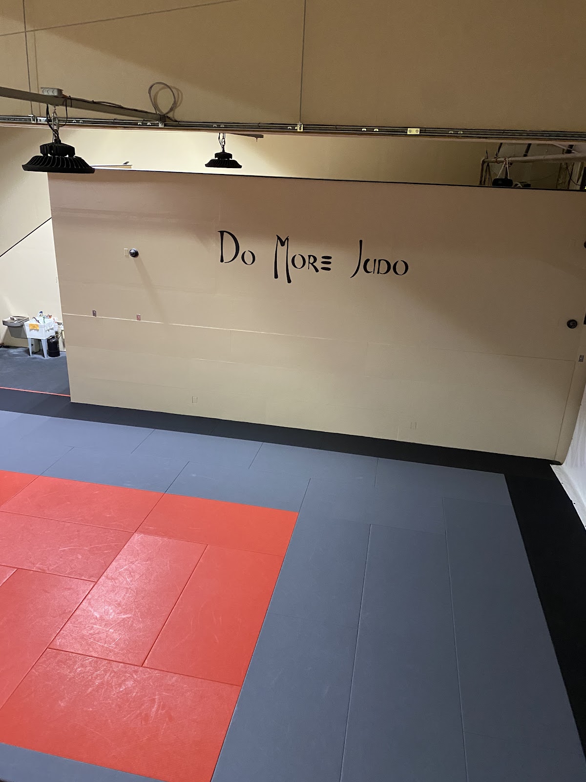 Image 4 of Team Haas Judo Jiu-Jitsu