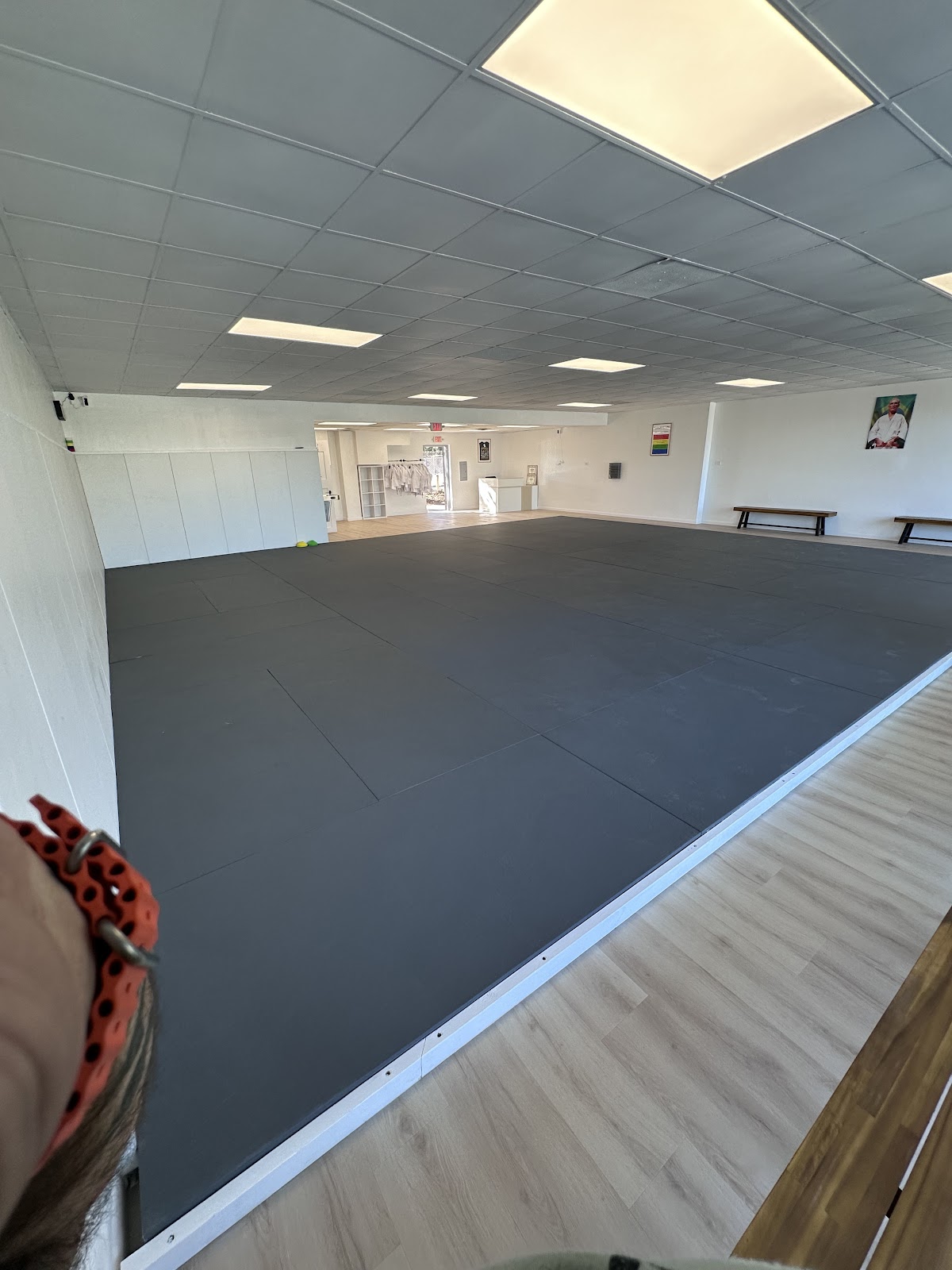 Image 9 of Natural Art Brazilian Jiu-Jitsu School