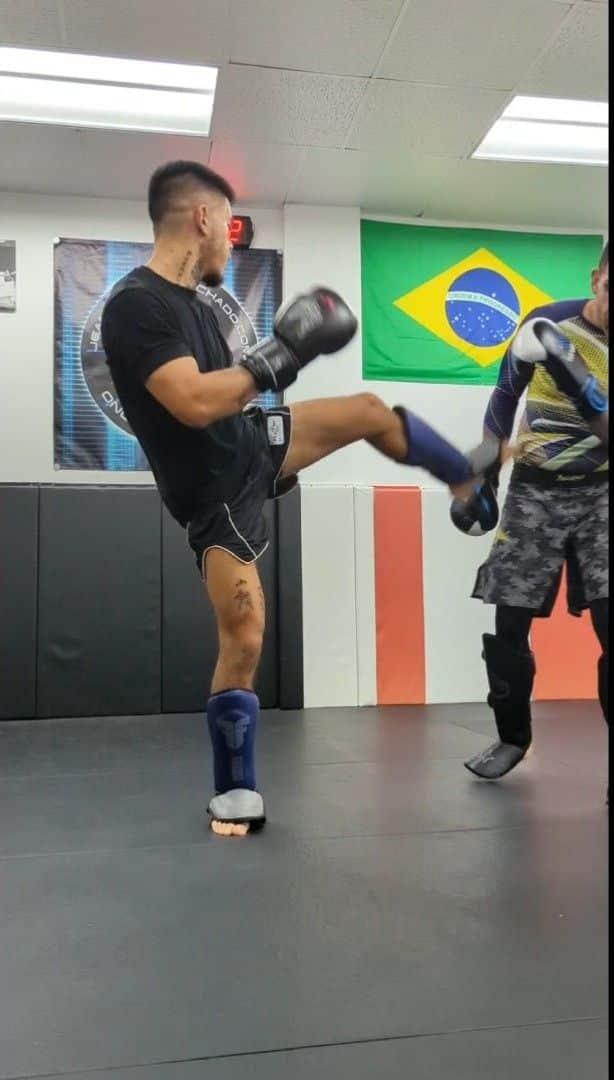 Image 4 of Jean Jacques Machado BJJ - Mandarin