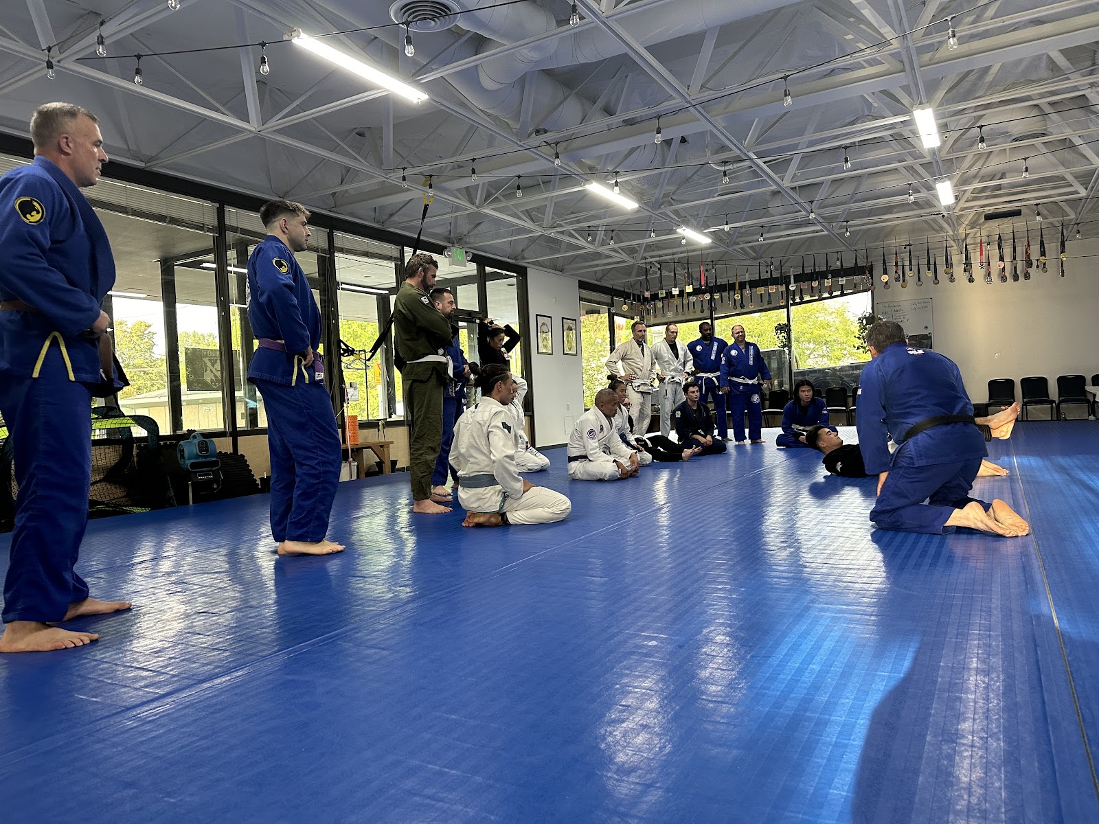 Renzo Gracie Jiu Jitsu Sammamish photo