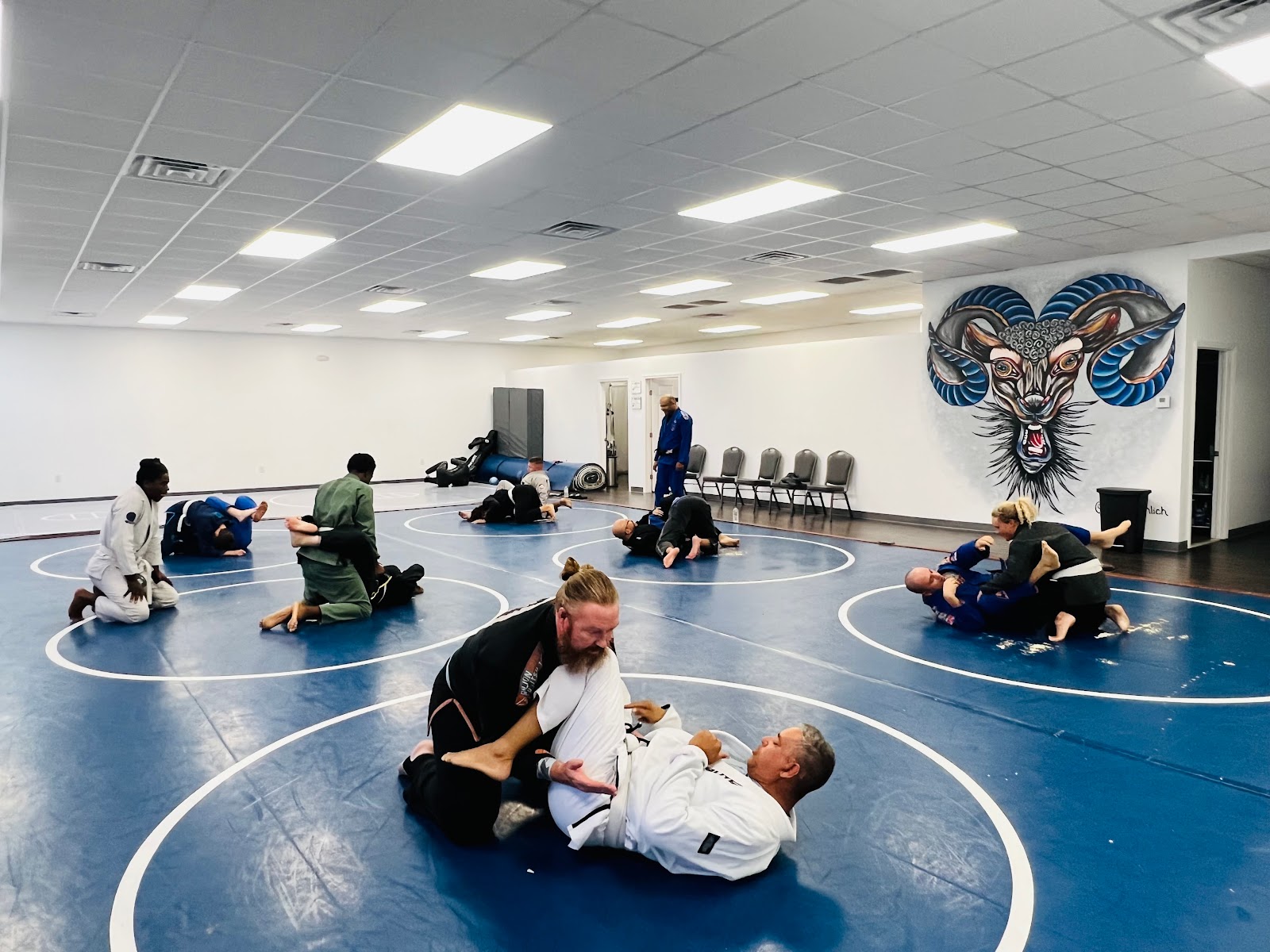 Black Sheep Jiu-Jitsu Lynn Haven photo