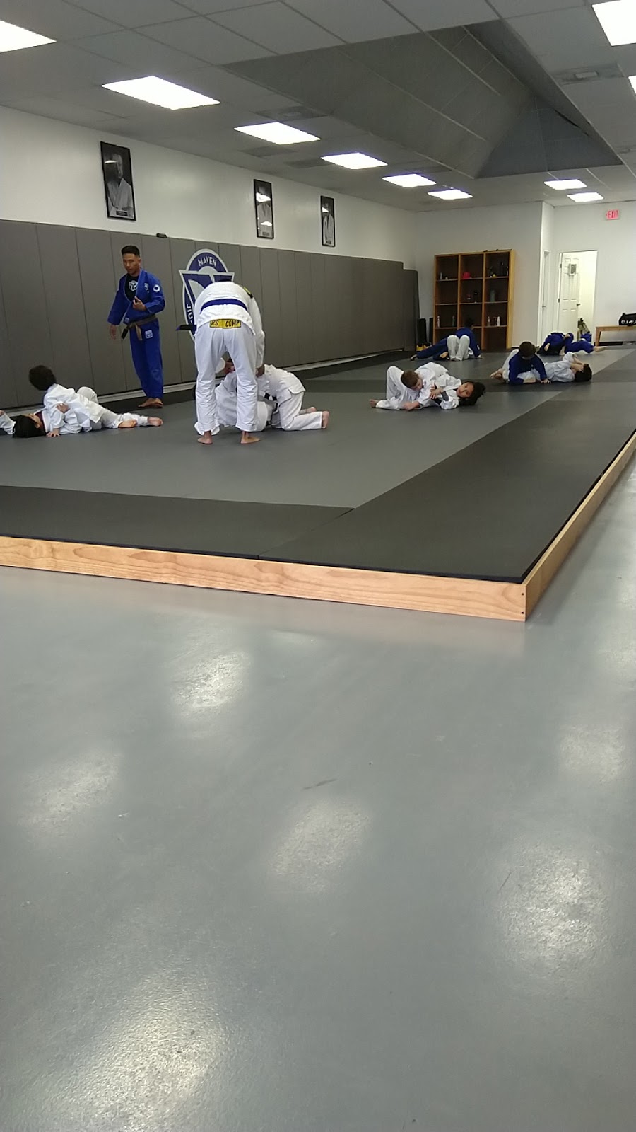 Main image of Maven Jiu-Jitsu Academy