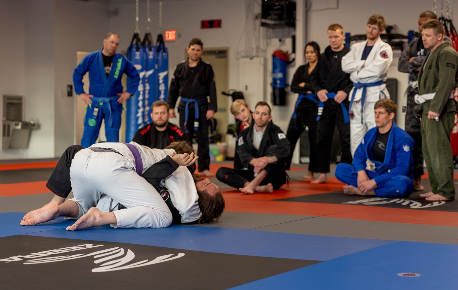 Image 6 of The Rock Jiu Jitsu Team