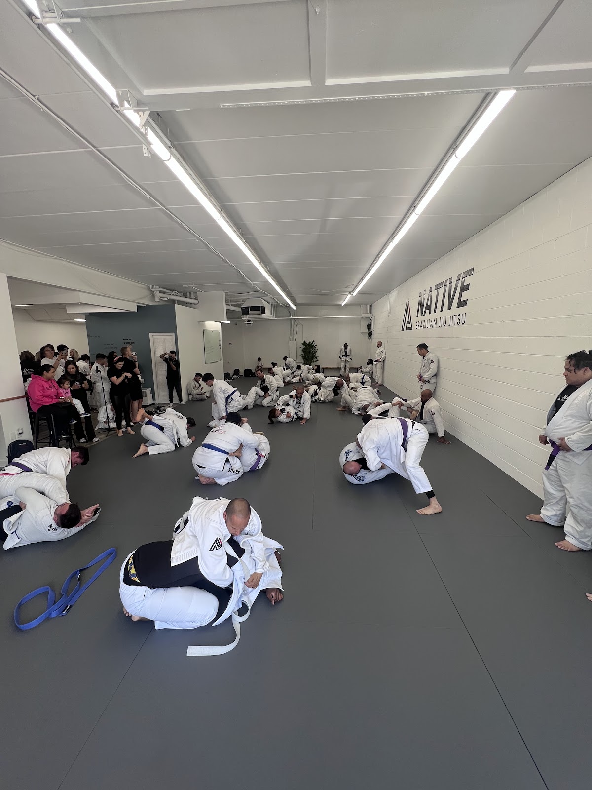 Image 6 of Native Jiu Jitsu