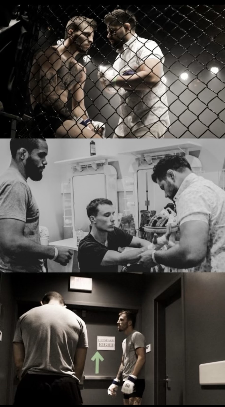 Image 9 of Daniel Gracie Grand Rapids