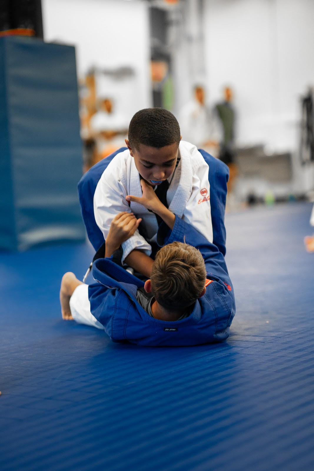 Image 2 of Gracie Barra Fort Myers