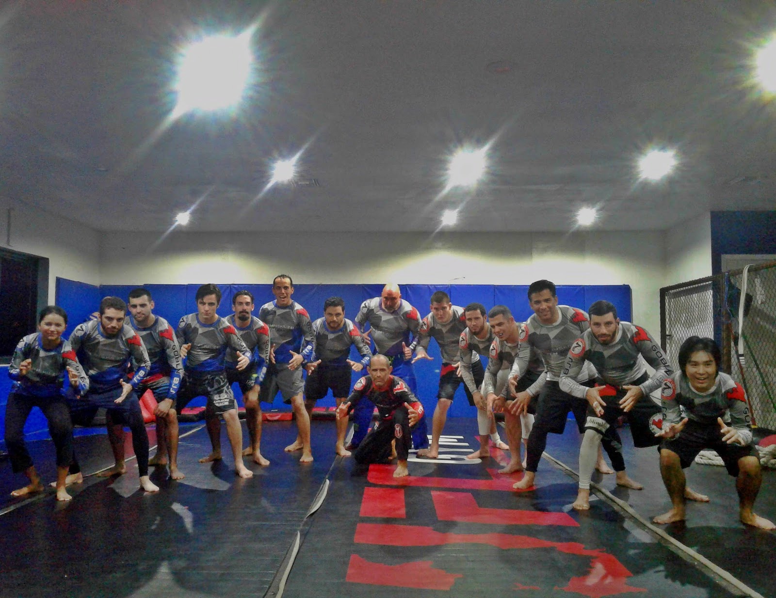 Image 8 of Miami Jiu JItsu Team