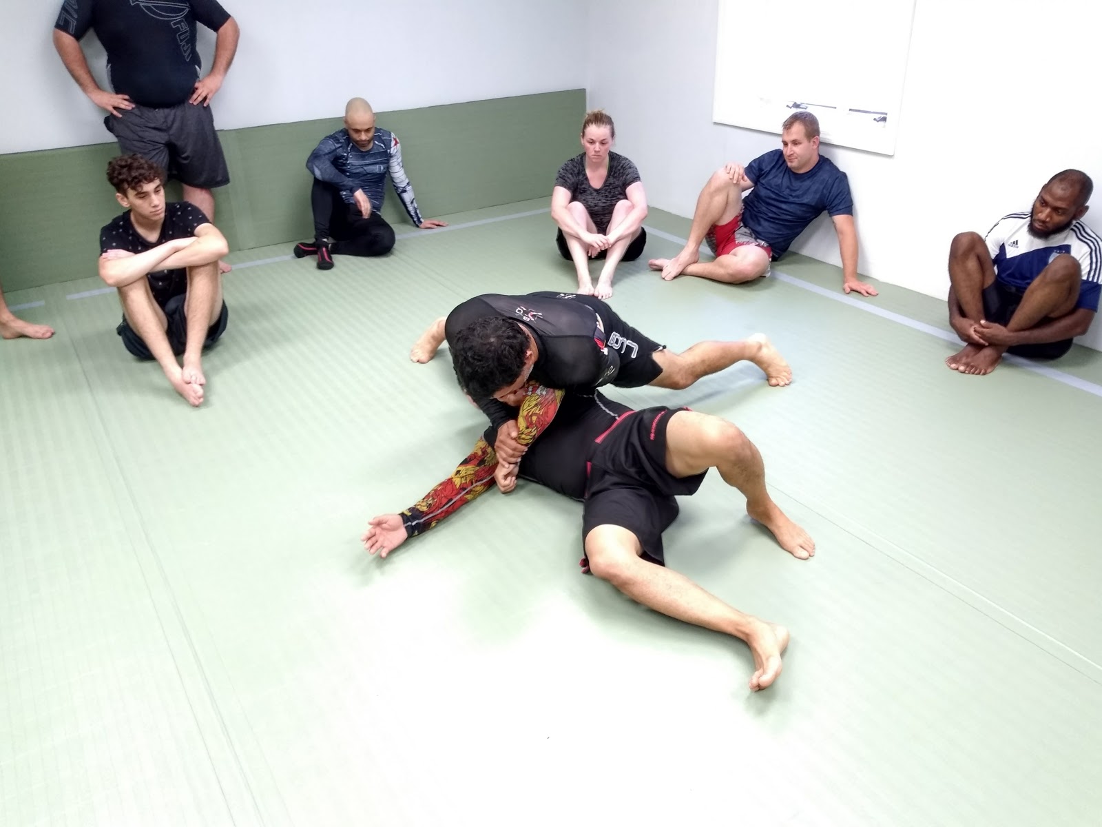 Image 4 of BeltQuest Jiu Jitsu