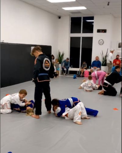 Image 7 of Gracie Elite Jiu-Jitsu Wellington