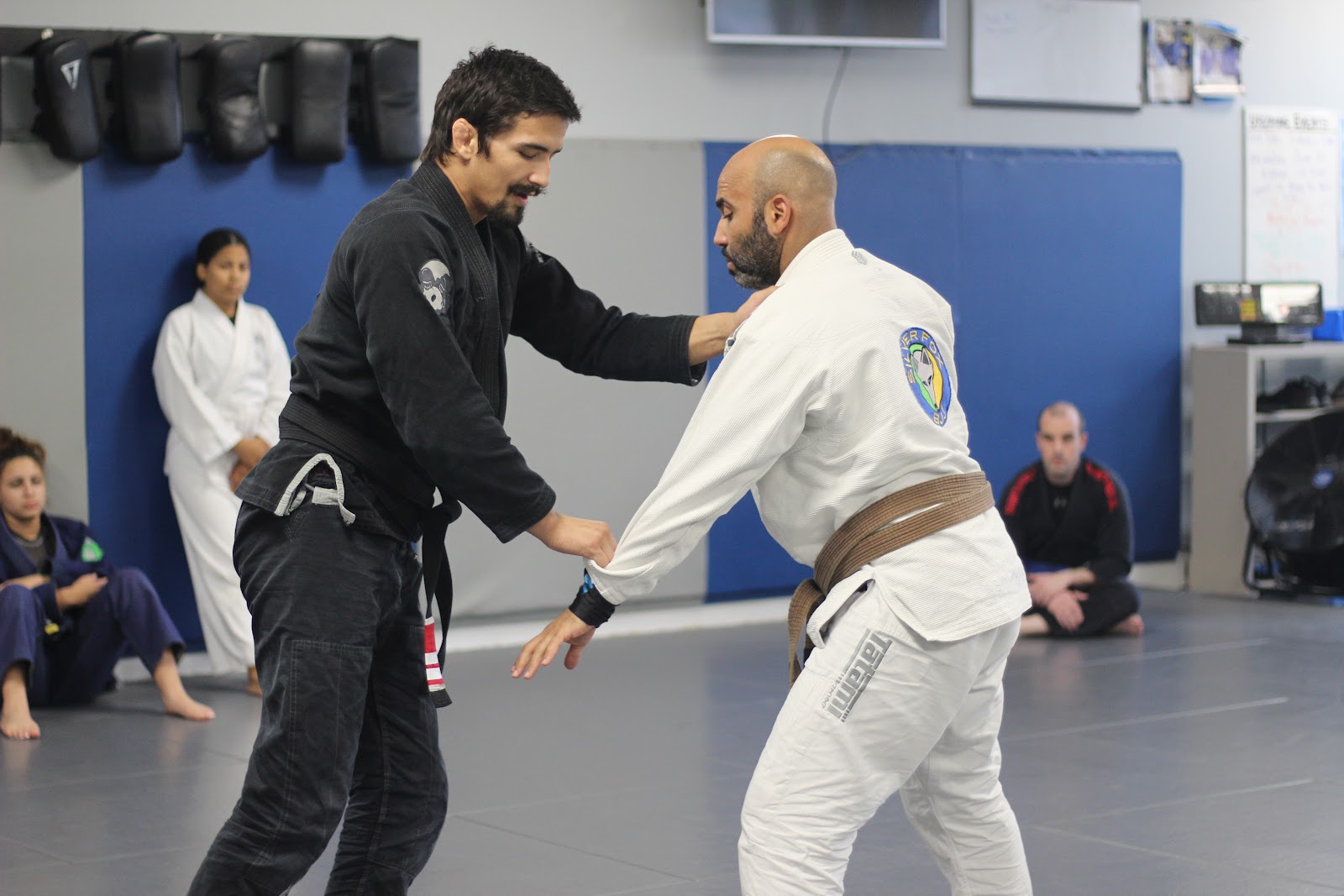 Image 6 of Silver Fox Brazilian Jiu-Jitsu - 561