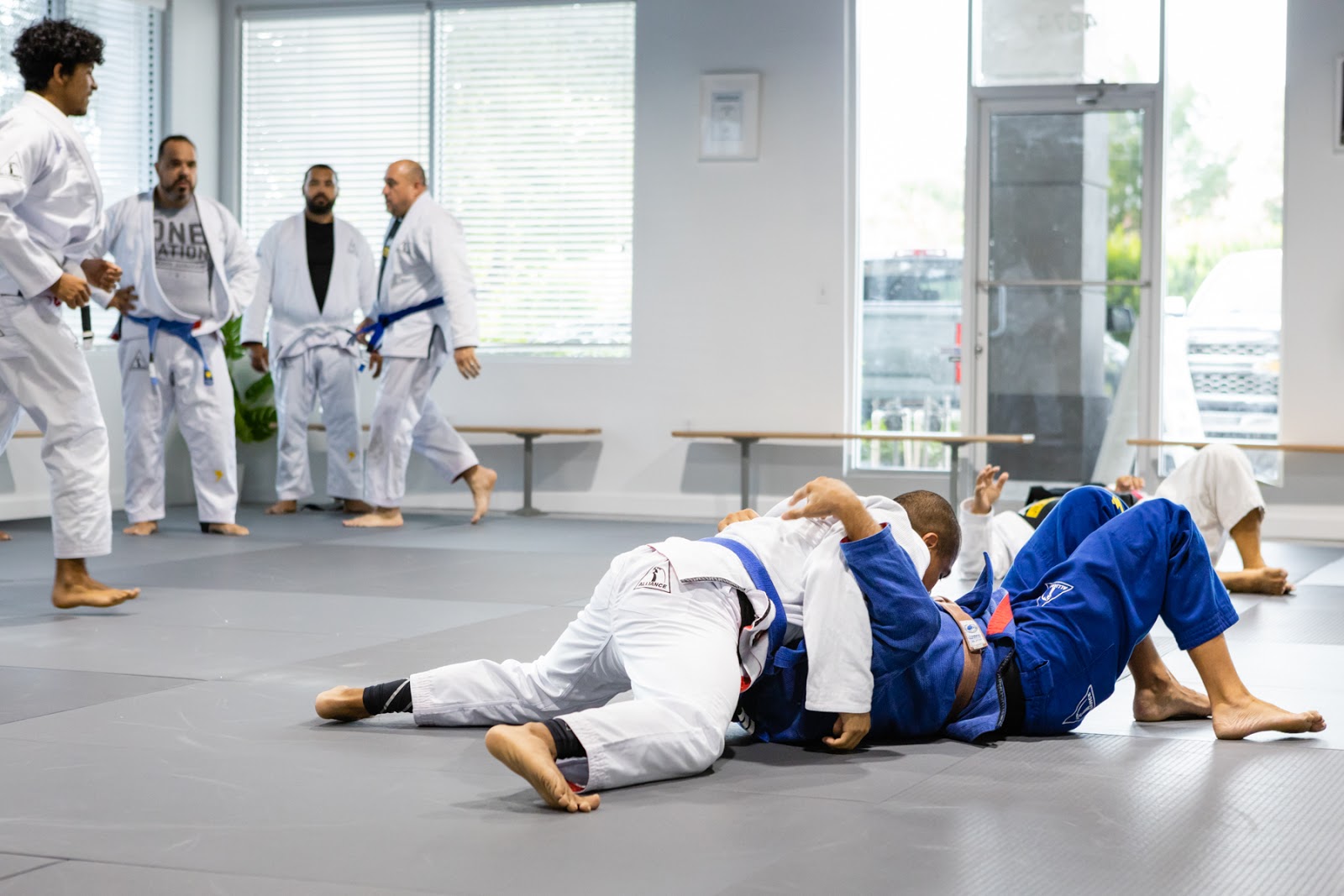 Main image of ALLIANCE JIU JITSU MARTIAL ARTS