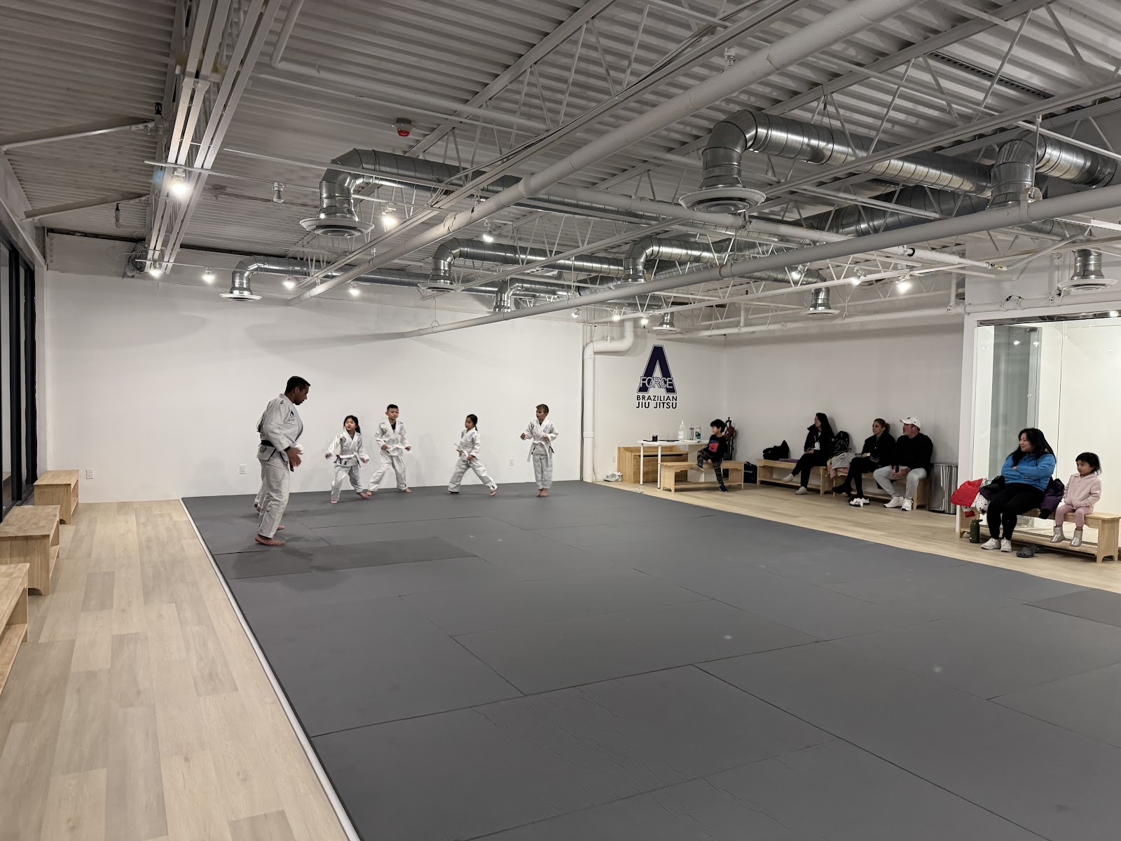 Main image of A-Force Brazilian Jiu Jitsu Academy - Roslyn