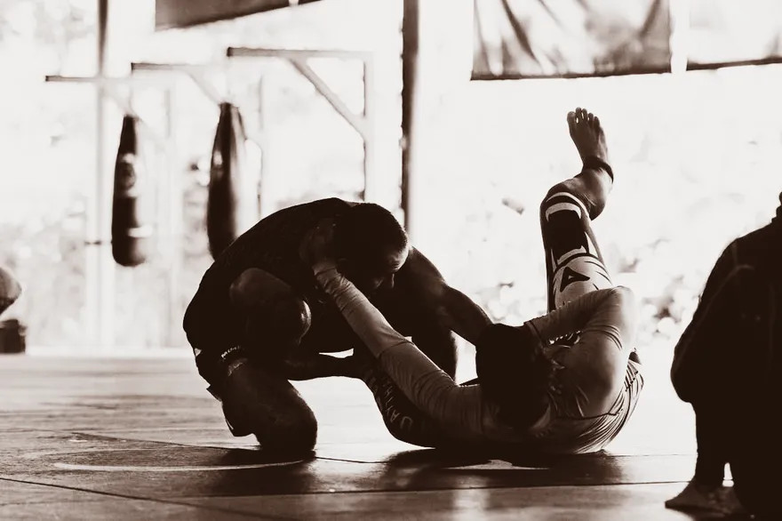 Image 6 of Pine BJJ