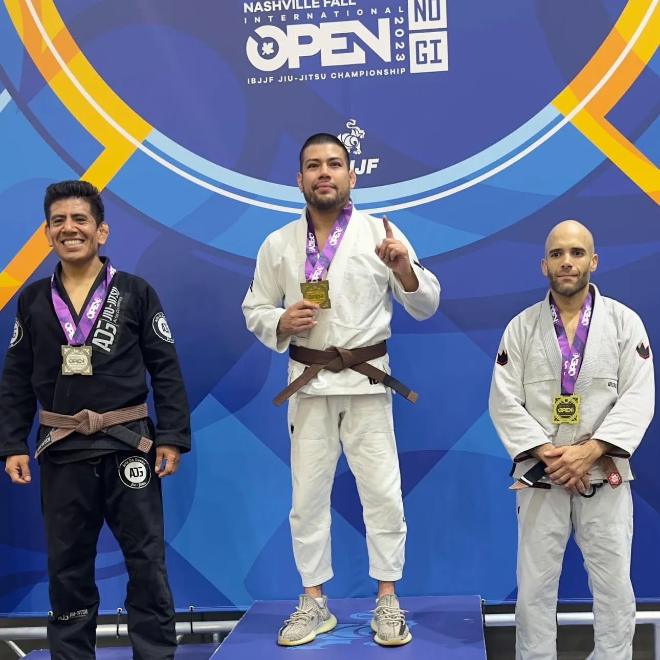 Image 10 of JIU JITSU MODERN