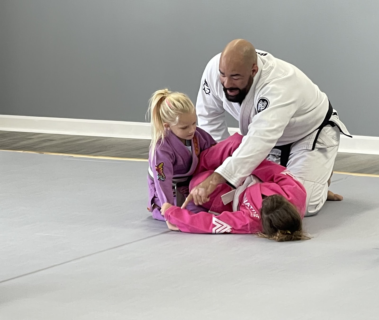 The Mount BJJ & MMA - Mount Airy photo