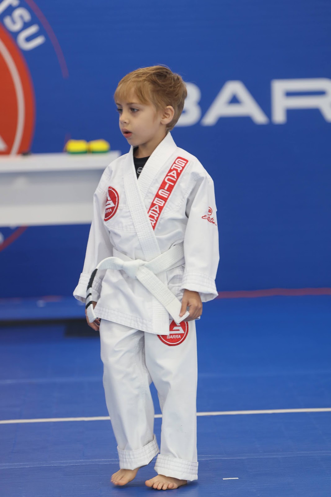 Image 7 of Gracie Barra Celebration / Martial Arts School