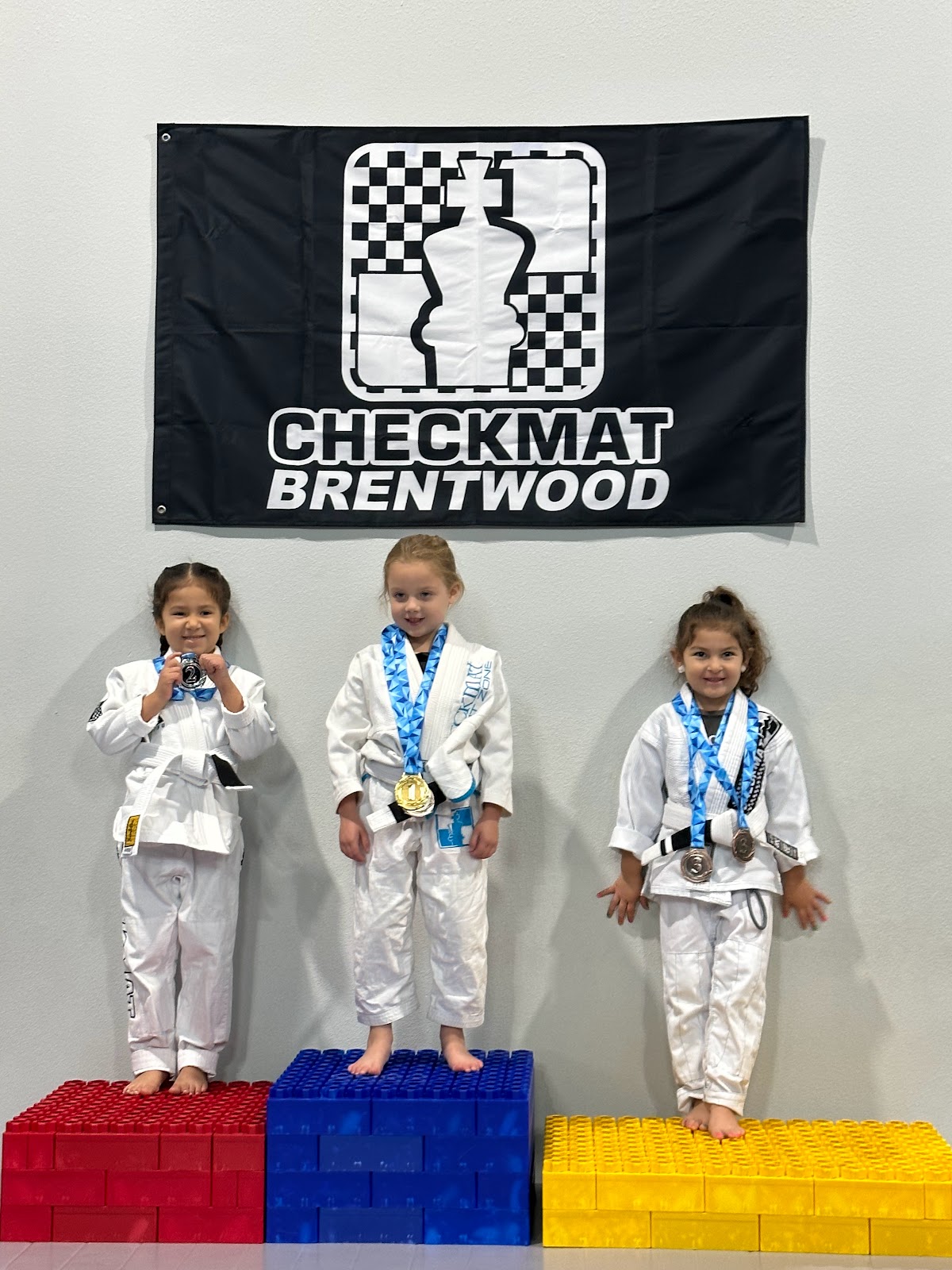 Image 4 of Checkmat Brentwood Jiu-Jitsu