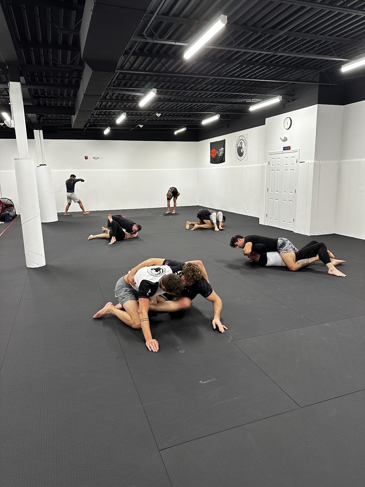 Image 5 of Primal Jiu Jitsu & Mixed Martial Arts