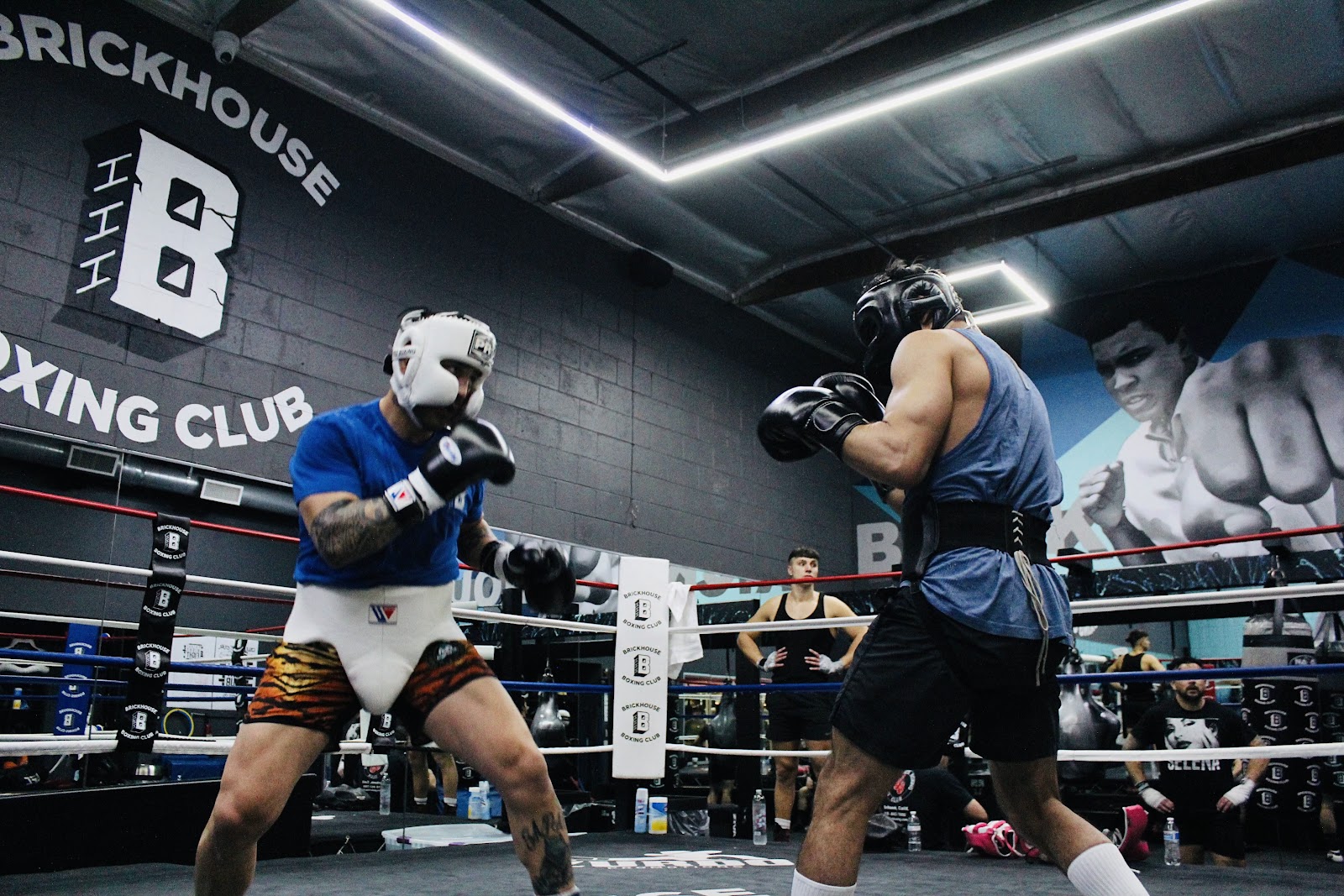 Image 10 of Cobrinha Brazillian Jiu-Jitsu Academy (San Bernardino, California)