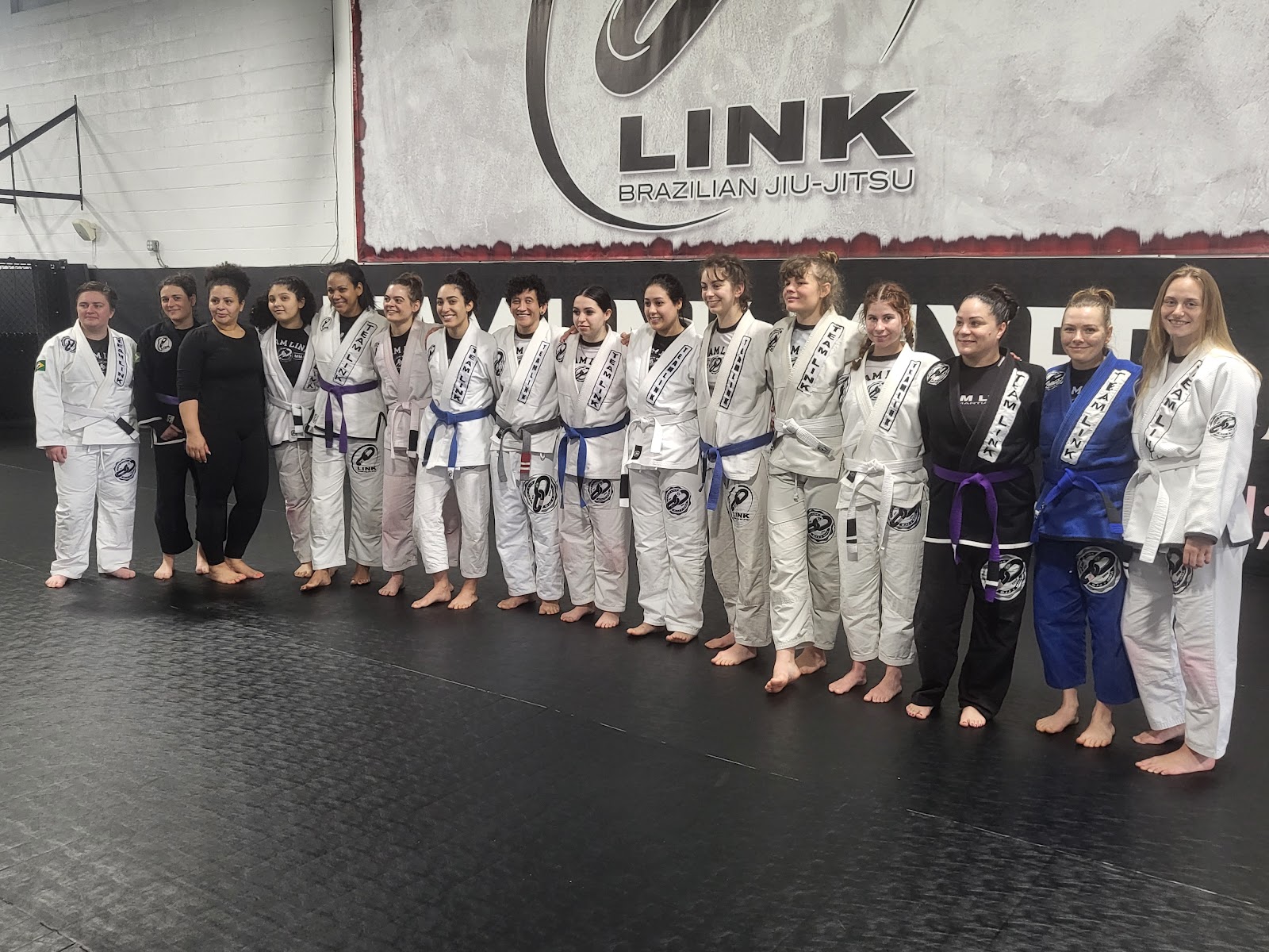 Image 5 of Team Link Ludlow MA - Brazilian Jiu Jitsu