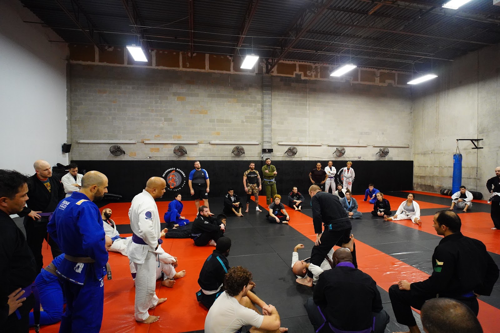 Image 7 of Ascend Jiu Jitsu Chantilly