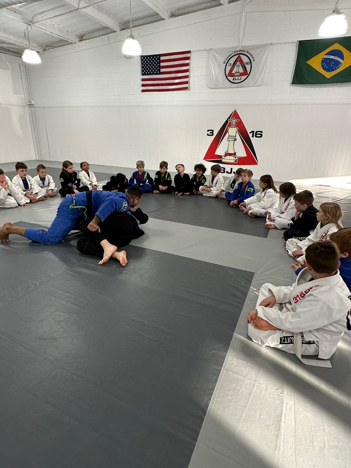 Image 6 of 316 BJJ