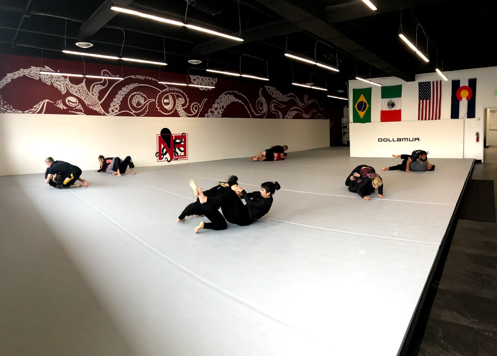 Image 3 of NEW ERA Jiu Jitsu